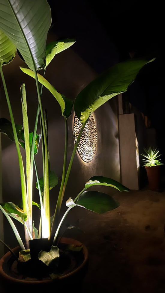 Customer photo of Kovah Solar Garden Spotlight