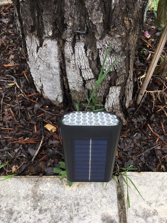 Customer photo of Kovah Solar Garden Spotlight