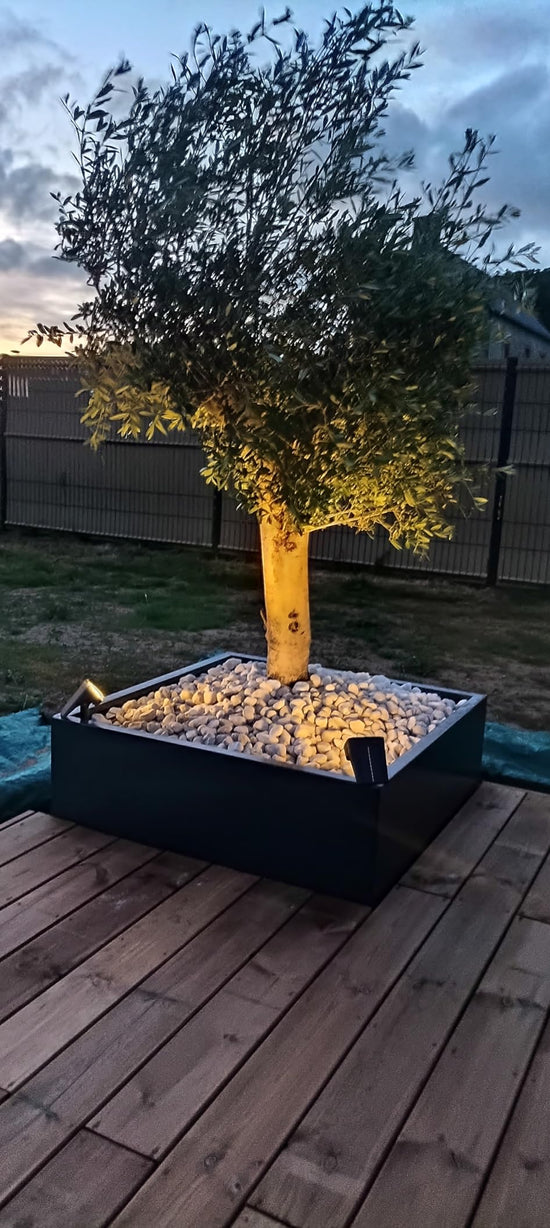 Customer photo of Kovah Solar Garden Spotlight