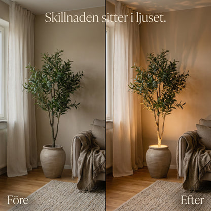 Skymning lyser en plante op nedefra om aftenen